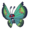 Shadow Vivillon (Garden)